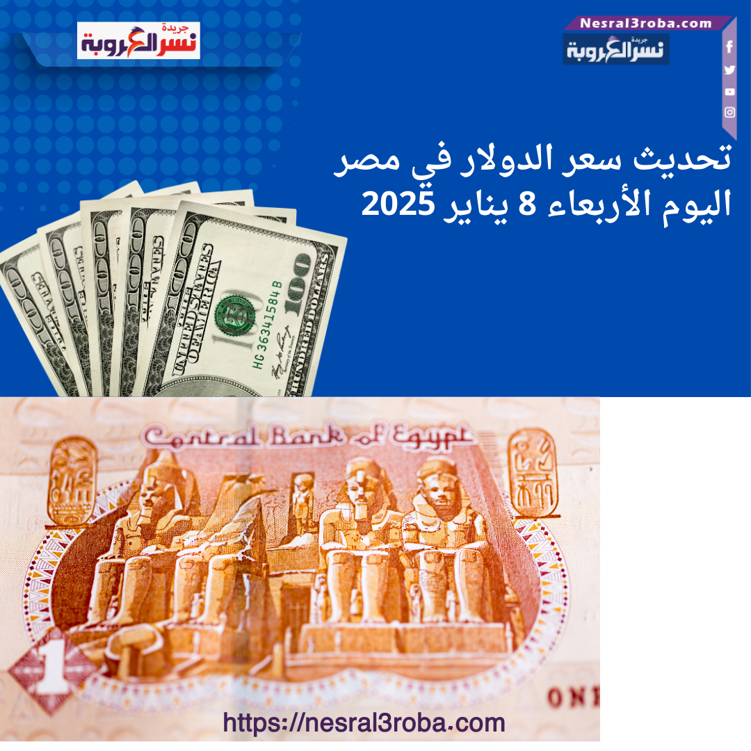 تحديث سعر الدولار في مصر اليوم الأربعاء 8 يناير 2025