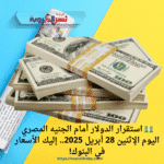 💵 استقرار الدولار أمام الجنيه المصري اليوم الإثنين 28 أبريل 2025.. إليك الأسعار في البنوك!