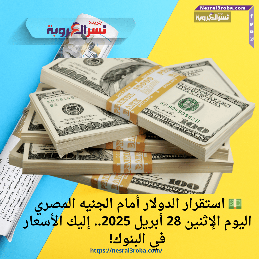 💵 استقرار الدولار أمام الجنيه المصري اليوم الإثنين 28 أبريل 2025.. إليك الأسعار في البنوك!