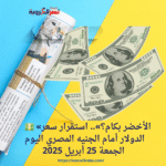 💵 «الأخضر بكام؟».. استقرار سعر الدولار أمام الجنيه المصري اليوم الجمعة 25 أبريل 2025
