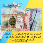 💰 استقرار سعر الريال السعودي أمام الجنيه اليوم الإثنين 28 أبريل 2025.. تعرف على الأسعار في البنوك المصرية!