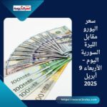 سعر اليورو مقابل الليرة السورية اليوم – الأربعاء 9 أبريل 2025