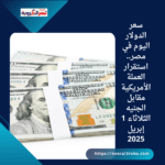 سعر الدولار اليوم في مصر.. استقرار العملة الأمريكية مقابل الجنيه الثلاثاء 1 إبريل 2025