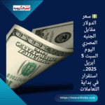💵 سعر الدولار مقابل الجنيه المصري اليوم السبت 5 أبريل 2025.. استقرار في بداية التعاملات