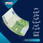 سعر اليورو مقابل الليرة السورية اليوم الأحد 7 نيسان 2025