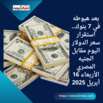 بعد هبوطه في 7 بنوك.. استقرار سعر الدولار اليوم مقابل الجنيه المصري الأربعاء 16 أبريل 2025