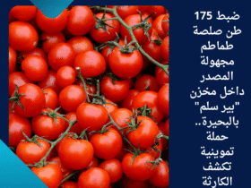 ضبط 175 طن صلصة طماطم مجهولة المصدر داخل مخزن "بير سلم" بالبحيرة.. حملة تموينية تكشف الكارثة