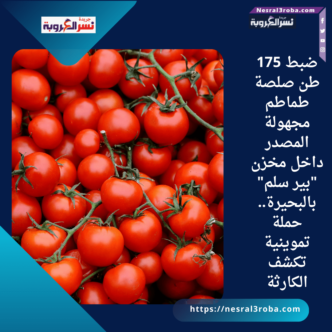 ضبط 175 طن صلصة طماطم مجهولة المصدر داخل مخزن "بير سلم" بالبحيرة.. حملة تموينية تكشف الكارثة
