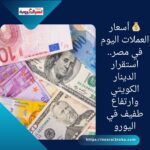 💰 أسعار العملات اليوم في مصر.. استقرار الدينار الكويتي وارتفاع طفيف في اليورو