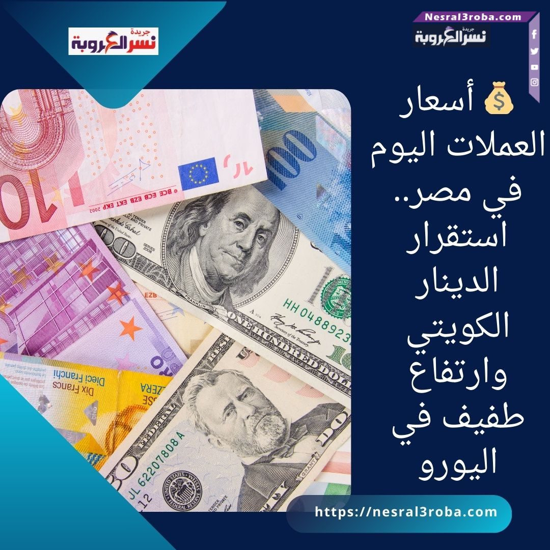 💰 أسعار العملات اليوم في مصر.. استقرار الدينار الكويتي وارتفاع طفيف في اليورو