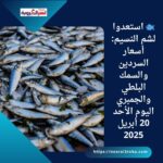 🐟 استعدوا لشم النسيم: أسعار السردين والسمك البلطي والجمبري اليوم الأحد 20 أبريل 2025