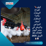 🍗 كيلو الفراخ البيضاء بكام؟ استقرار أسعار الدواجن والبيض في مصر اليوم الثلاثاء 22 أبريل 2025! 🐔🥚