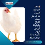 🐔 بعد التراجع الكبير.. تعرف على أسعار الفراخ وكرتونة البيض اليوم الأربعاء 23 أبريل 2025