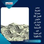 مصر تضبط عصابة لغسل 33 مليون جنيه من تجارة الأسلحة غير المرخصة بالدقهلية