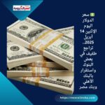 💵 سعر الدولار اليوم الإثنين 14 أبريل 2025.. تراجع طفيف في بعض البنوك واستقرار بالبنك الأهلي وبنك مصر
