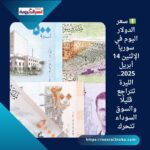 💵 سعر الدولار اليوم في سوريا الإثنين 14 أبريل 2025.. الليرة تتراجع قليلًا والسوق السوداء تتحرك