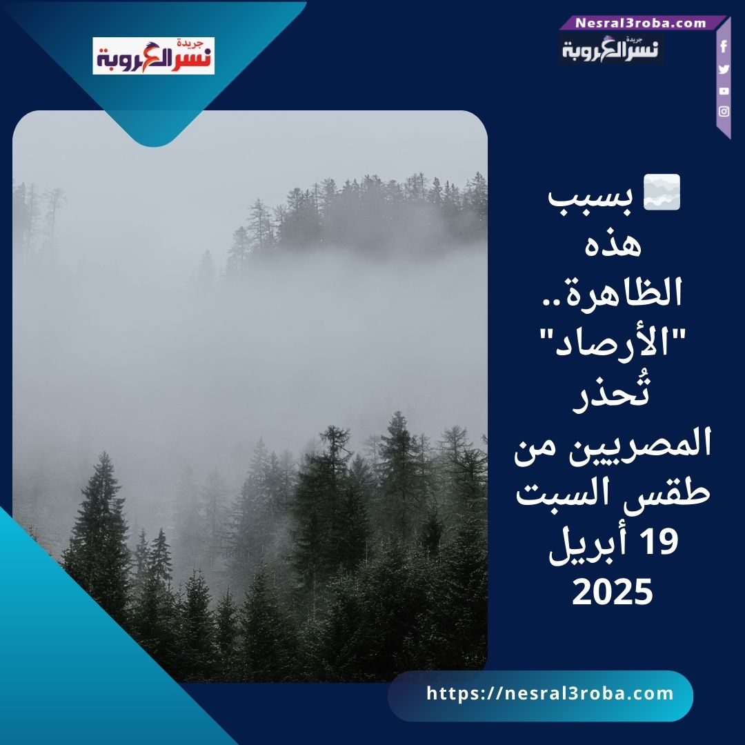 🌫️ بسبب هذه الظاهرة.. "الأرصاد" تُحذر المصريين من طقس السبت 19 أبريل 2025