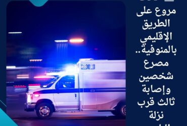 🚨 حادث مروع على الطريق الإقليمي بالمنوفية.. مصرع شخصين وإصابة ثالث قرب نزلة الباجور