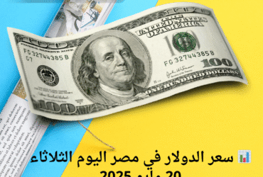 📊 سعر الدولار في مصر اليوم الثلاثاء 20 مايو 2025