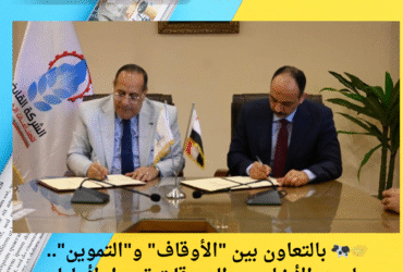 🤝🐄 بالتعاون بين "الأوقاف" و"التموين".. لحوم الأضاحي والصدقات توصل لأهلها في كل المحافظات!