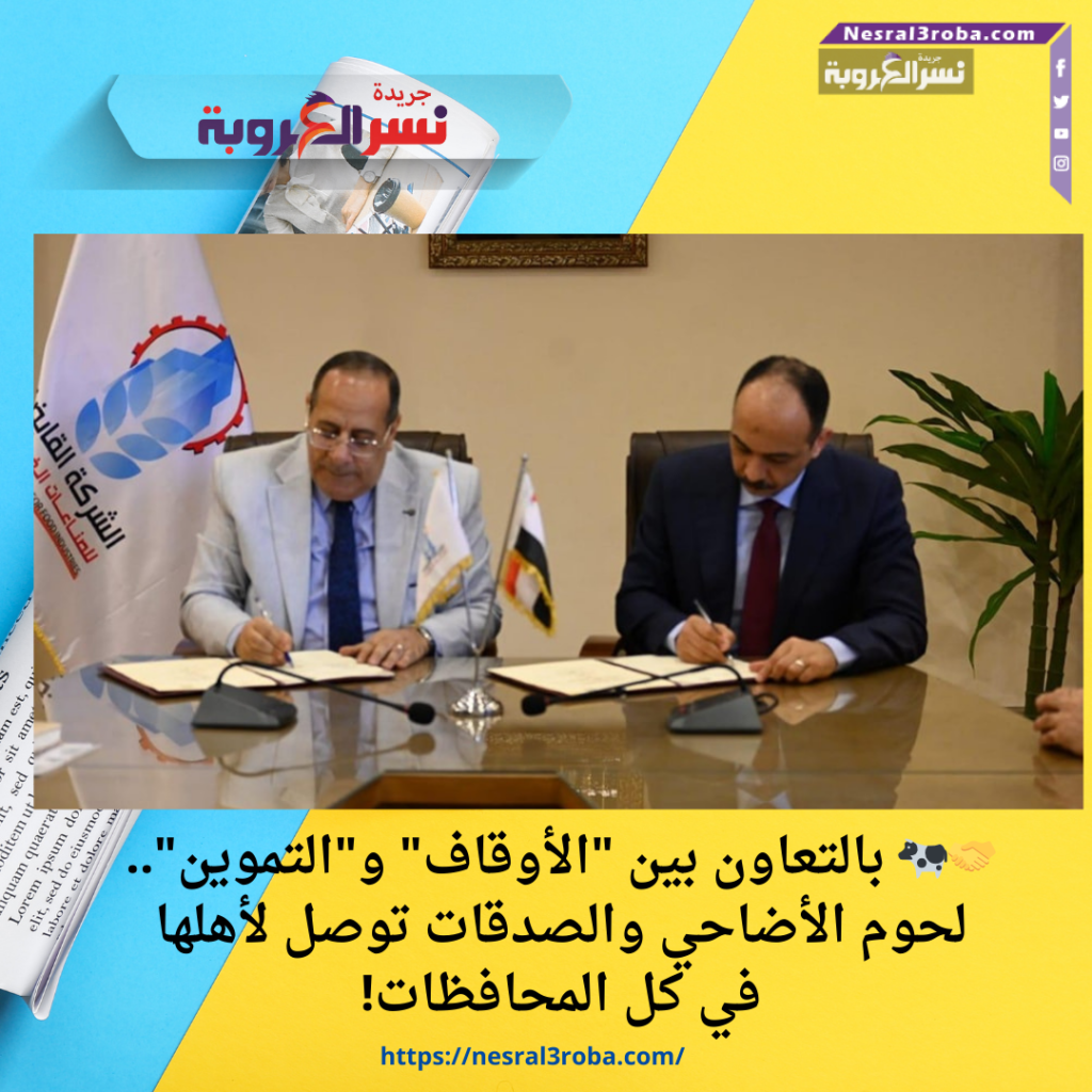 🤝🐄 بالتعاون بين "الأوقاف" و"التموين".. لحوم الأضاحي والصدقات توصل لأهلها في كل المحافظات!