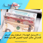 💵 كام وصل النهاردة؟.. استقرار سعر الدرهم الإماراتي مقابل الجنيه الخميس 29 مايو 2025 🇦🇪🇪🇬