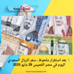 💰 بعد استقرار ملحوظ.. سعر الريال السعودي اليوم في مصر الخميس 29 مايو 2025