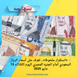 💰 «استقرار ملحوظ».. تعرف على أسعار الريال السعودي أمام الجنيه المصري اليوم الثلاثاء 13 مايو 2025