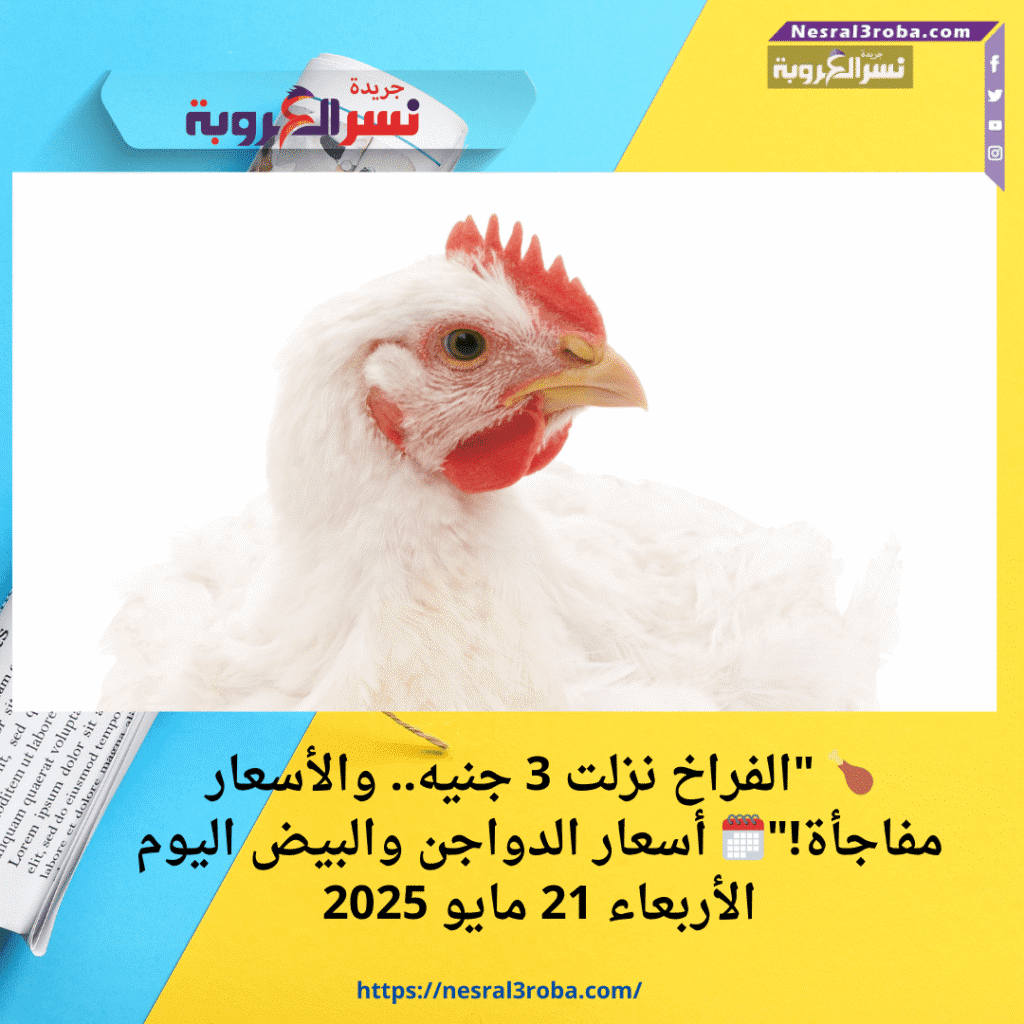 🍗 "الفراخ نزلت 3 جنيه.. والأسعار مفاجأة!"🗓️ أسعار الدواجن والبيض اليوم الأربعاء 21 مايو 2025