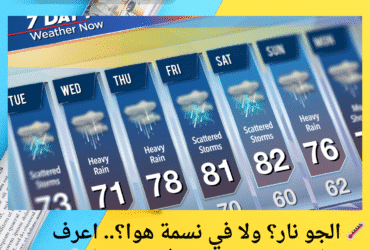 🌡️ الجو نار؟ ولا في نسمة هوا؟.. اعرف حالة الطقس النهاردة في مصر 🔥💨