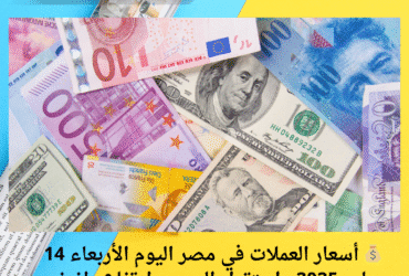 💰 أسعار العملات في مصر اليوم الأربعاء 14 مايو 2025.. استقرار اليورو وارتفاع طفيف للدينار الكويتي