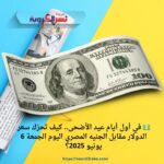 💵 في أول أيام عيد الأضحى.. كيف تحرّك سعر الدولار مقابل الجنيه المصري اليوم الجمعة 6 يونيو 2025؟