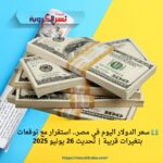 💵 سعر الدولار اليوم في مصر.. استقرار مع توقعات بتغيرات قريبة | تحديث 26 يونيو 2025