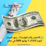 💵 الأخضر بكام النهاردة؟.. سعر الدولار اليوم الثلاثاء 1 يوليو 2025 في مصر