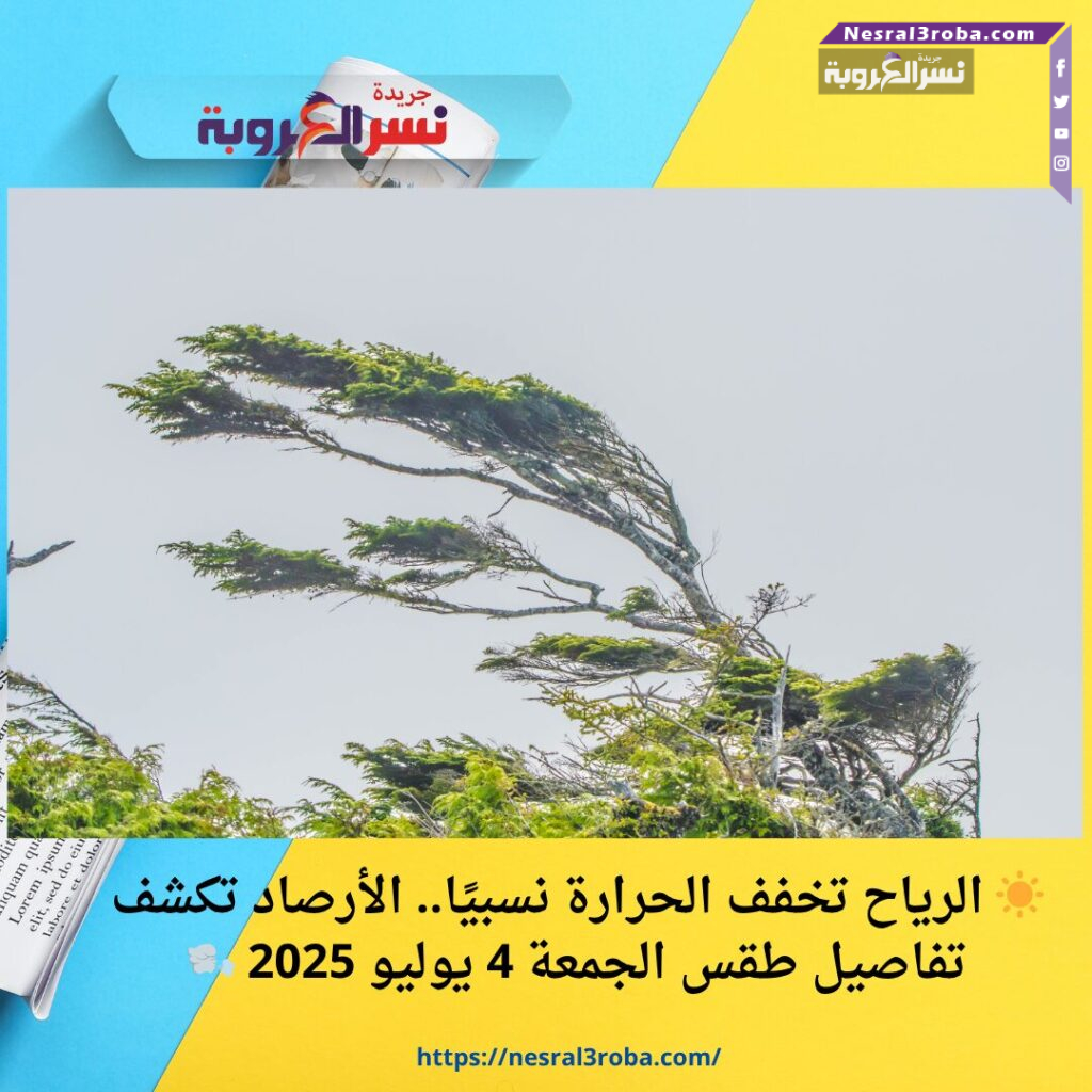 ☀️ الرياح تخفف الحرارة نسبيًا.. الأرصاد تكشف تفاصيل طقس الجمعة 4 يوليو 2025 🌬️