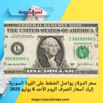 سعر الدولار يواصل الضغط على الليرة السورية.. إليك أسعار الصرف اليوم الأحد 6 يوليو 2025