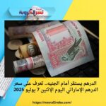 الدرهم يستقر أمام الجنيه.. تعرف على سعر الدرهم الإماراتي اليوم الإثنين 7 يوليو 2025
