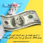 💵 تراجع طفيف في سعر الدولار اليوم الإثنين 7 يوليو 2025.. كم سجّل في بنك مصر والأهلي وCIB؟