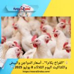 🐔 "الفراخ بكام؟".. أسعار الدواجن والبيض والكتاكيت اليوم الثلاثاء 8 يوليو 2025 🔍