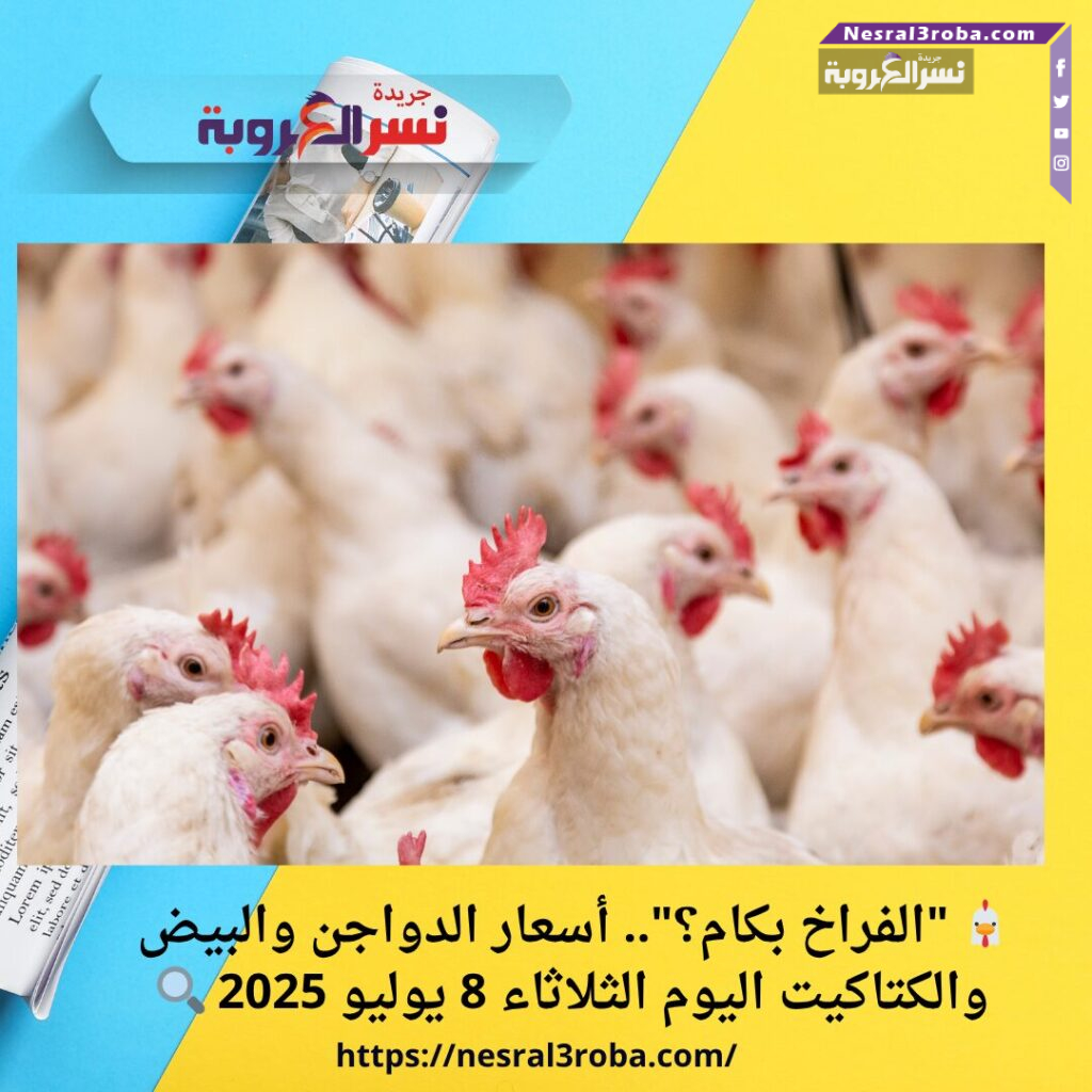 🐔 "الفراخ بكام؟".. أسعار الدواجن والبيض والكتاكيت اليوم الثلاثاء 8 يوليو 2025 🔍