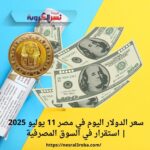 سعر الدولار اليوم في مصر 11 يوليو 2025 | استقرار في السوق المصرفية