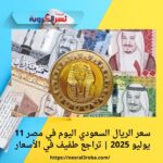 سعر الريال السعودي اليوم في مصر 11 يوليو 2025 | تراجع طفيف في الأسعار