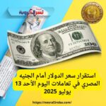 استقرار سعر الدولار أمام الجنيه المصري في تعاملات اليوم الأحد 13 يوليو 2025