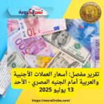 تقرير مفصل: أسعار العملات الأجنبية والعربية أمام الجنيه المصري - الأحد 13 يوليو 2025