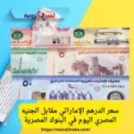 سعر الدرهم الإماراتي مقابل الجنيه المصري اليوم في البنوك المصرية