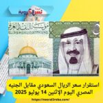 استقرار سعر الريال السعودي مقابل الجنيه المصري اليوم الإثنين 14 يوليو 2025