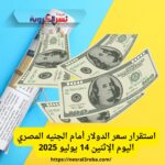 استقرار سعر الدولار أمام الجنيه المصري اليوم الإثنين 14 يوليو 2025