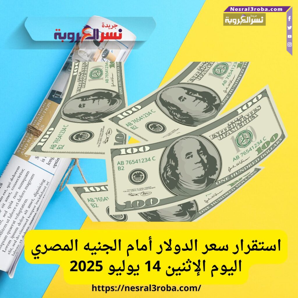 استقرار سعر الدولار أمام الجنيه المصري اليوم الإثنين 14 يوليو 2025