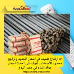 🧱 ارتفاع طفيف في أسعار الحديد وتراجع محدود للأسمنت.. تعرف على أحدث أسعار مواد البناء في مصر اليوم