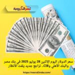 سعر الدولار اليوم الإثنين 28 يوليو 2025 في بنك مصر والبنك الأهلي وCIB.. تراجع جديد يلفت الأنظار